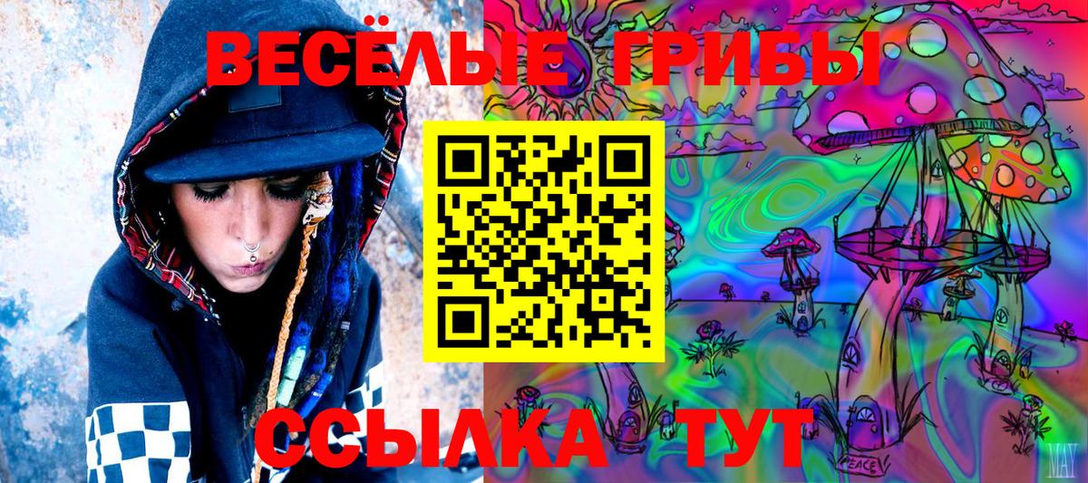Псилоцибиновые грибы GOLDEN TEACHER Киселёвск