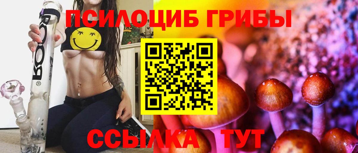 Галлюциногенные грибы Cubensis  Вход с VPN  Киселёвск 